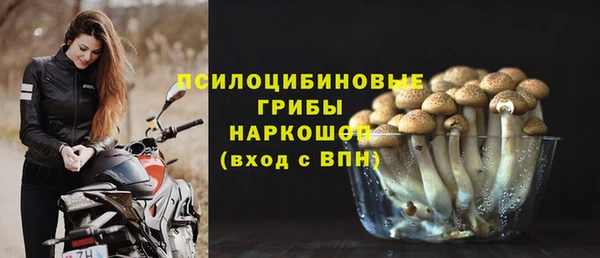 apvp Новокубанск