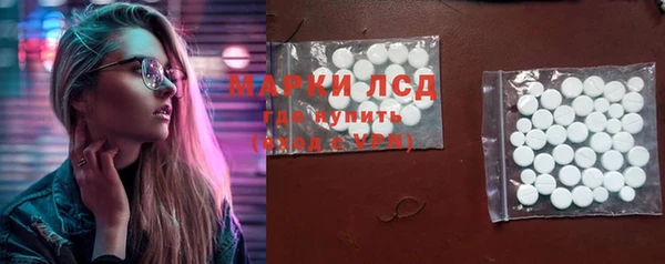 стафф Алзамай