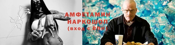 стафф Алзамай