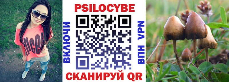Псилоцибиновые грибы прущие грибы  что такое   Уссурийск 